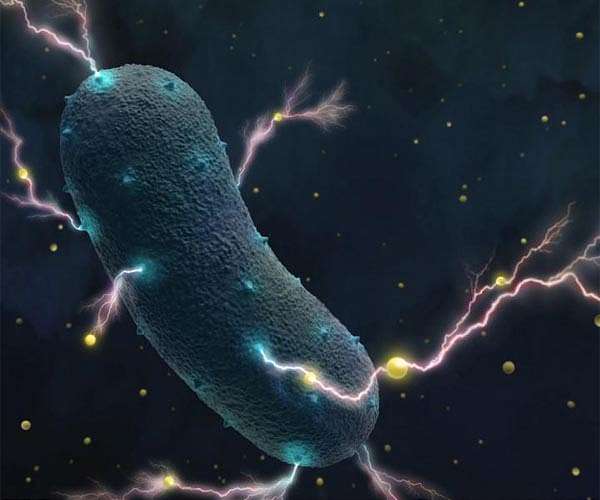 Gut microbes could allow space travelers to stay healthy on long voyages