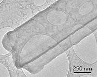 Scientists get first close-ups of finger-like growths that trigger battery fires