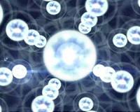 D-Wave chip passes rigorous quantum-ness tests