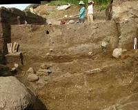 Ancient nomads spread earliest domestic grains along Silk Road