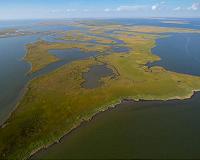 Wetlands disappearing three times faster than forests: study