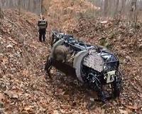 New algorithm aids in both robot navigation and scene understanding