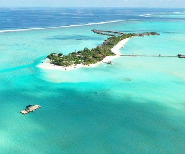 'We can't lose hope' to save the planet says ex-Maldives president