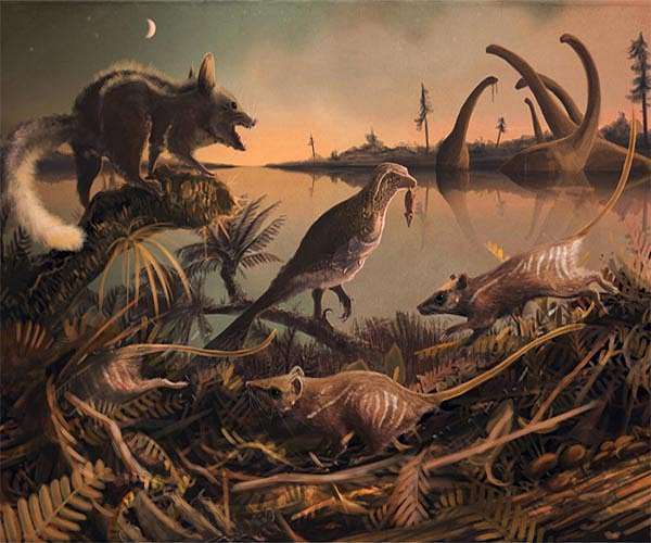 Dinosaur extinction changed plant evolution