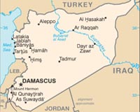 Damascus says was informed by US of air strikes on IS