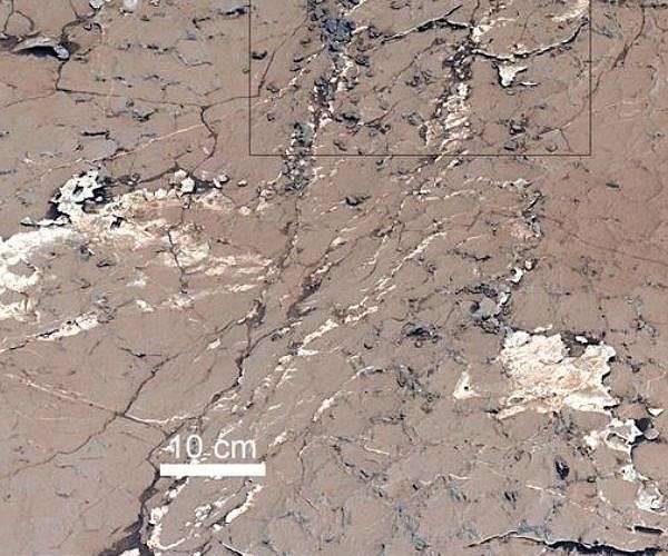 New insights into the potential for early steps of biological evolution on Mars