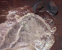 Mars Rover Yielding New Clues While Lodged In Martian Soil