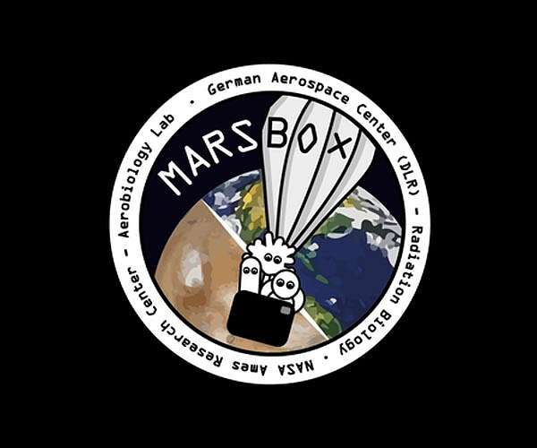 Life from Earth could temporarily survive on Mars
