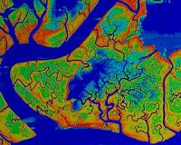 Coronavirus calm reveals flourishing Venice Lagoon ecosystem