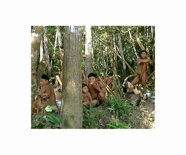 Thousands of Peru's indigenous people exposed to toxic substances