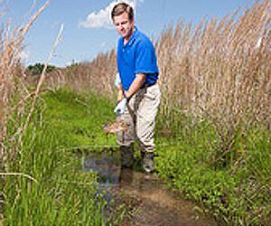 Drainage Ditches Can Help Clean Up Field Runoff
