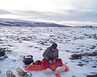 Did Global Warming Cause A Sudden Collapse In Ancient Biodiversity