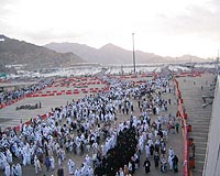 Nine hajj flu cases so far: Saudi health minister