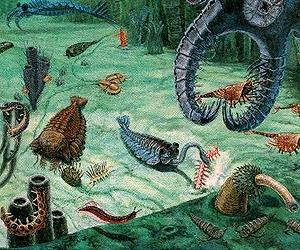 Evidence for a geologic trigger of the Cambrian explosion