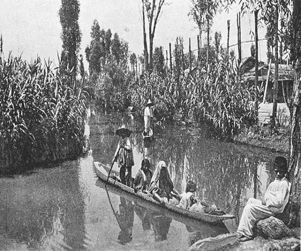Mexican kayaker on mission to clean up floating gardens