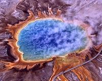 Researchers find that Earth may be home to 1 trillion species