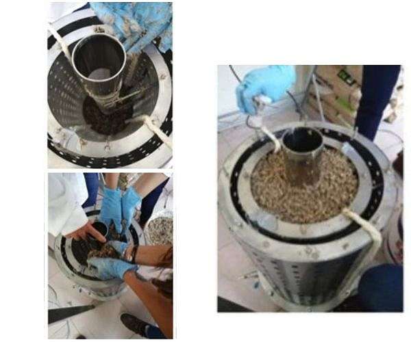 Fresh Research for Fresh Air: Harnessing microbes for removing indoor pollutants