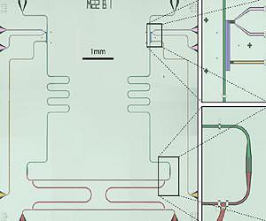 Quantum optics with microwaves