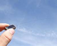 Observing animal migration from space - ISS experiment ICARUS begins