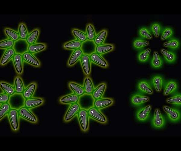 Researchers grow precise arrays of nanoLEDs