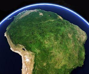 Brazil Amazon deforestation rose 28 pct in past year: official