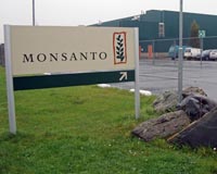 US judge slashes jury award in Roundup cancer case
