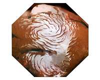 Swirling spirals at the north pole of Mars