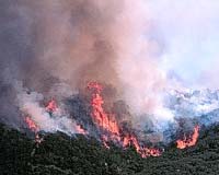 Western Wildfires Linked To Atlantic Ocean Surface Temperatures