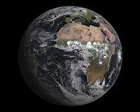 Bacteria Get New Badge as Planet's Detoxifier