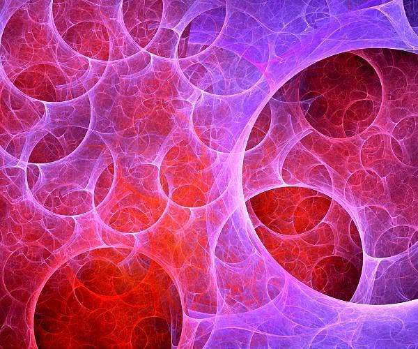 How likely is the multiverse model a reality