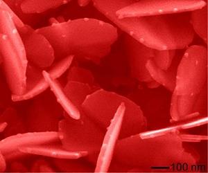 Nanomaterials In Our Environment
