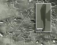Nanoscrolls created from graphene's imperfect cousin