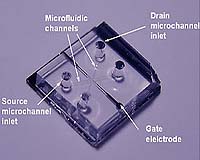 Nano World: Nanofluidic Transistors