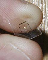 Harvard Scientists Create High-Speed Integrated Nanowire Circuits