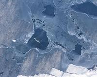 Scientists gain insights into the secretive lives of narwhals