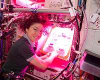 First all-female spacewalk now later this week, says NASA