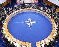 Ukraine Will Not House Nuclear Weapons If It Joins NATO: Minister