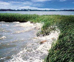The best defense against catastrophic storms: Mother Nature, say Stanford researchers