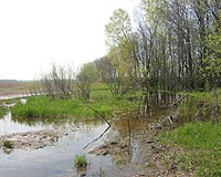 Ecological Restoration As A Tool For Reversing Ecosystem Fragmentation