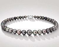 Tahiti pearls, mainstay of French Polynesian economy, endangered