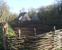 Analysis of pottery fragments shows dairy farming common in Neolithic Europe