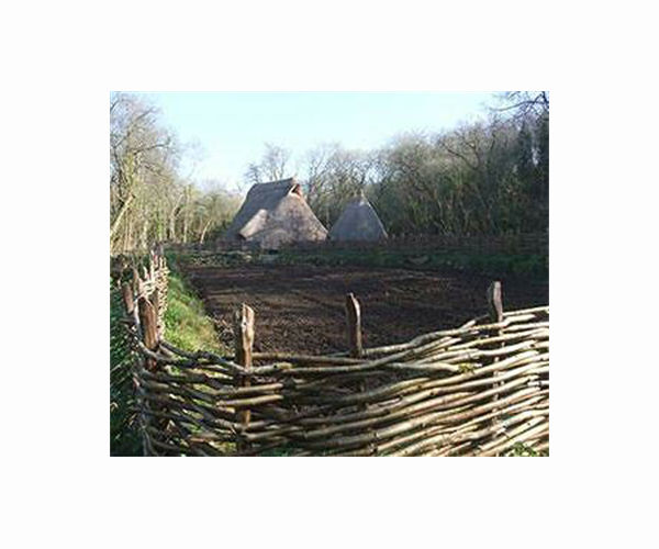 Genomic analysis details rise, fall of the Scythians