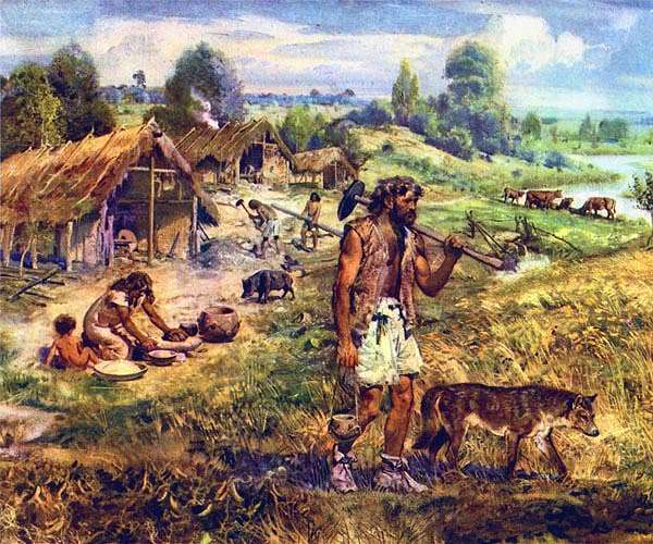 Neolithic made us taller and more intelligent but more prone to heart disease