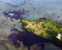 River flood risks increase around the globe under future warming
