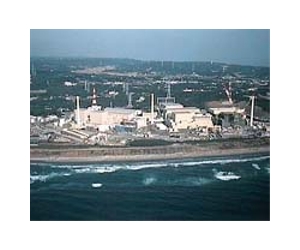 Japan shuts down Hamaoka nuclear reactor