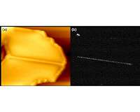 Behavior of 'trapped' electrons in a one-dimensional world observed in the lab