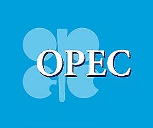 OPEC urges US to 'look again' at offshore drilling ban