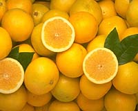 Organic Plant Waste Proves Effective Weed Control For Citrus Trees