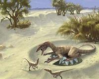 Meat-eating dinosaurs adopted highly specialized diets