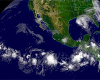Pacific Coast Turning More Acidic